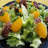 Mandarin Orange Salad With Sugared Pecans image