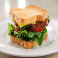 Perfect BLT Sandwich image