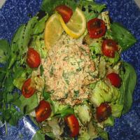 South Beach Style Tuna Salad With Low Fat Cilantro Mayo_image