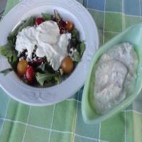 THE BEST EVER PARMESAN RANCH DRESSING OR DIP_image
