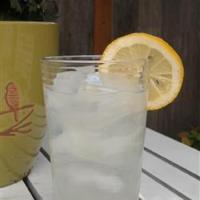 Bitter Lemon Soda image