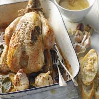 Roast chicken with whole garlic, bay & white wine_image