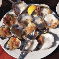 Broiled Oysters with Garlic Breadcrumbs image