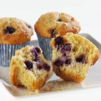 Blueberry Buttermilk Corn Muffins image