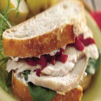 Roasted Turkey Sandwiches_image