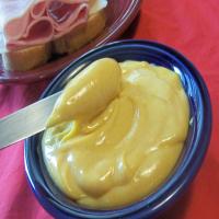 Quick Homemade Mustard_image