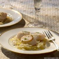 Scallops with Leeks in Champagne Sauce_image