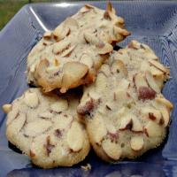 Almond Tile Cookies_image