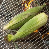 Grill-Steamed Corn on the Cob image