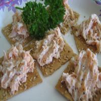 Salmon Spread With Two Ingredients image