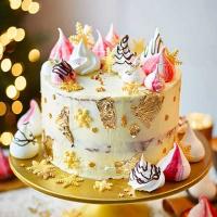 White chocolate, orange & cranberry Christmas cake_image