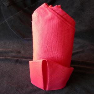 Serviette/Napkin Folding, Simple Standing image