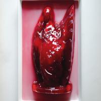 Cranberry-Pomegranate Gelatin image
