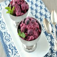 Low-Fat Berry Blue Frozen Dessert_image