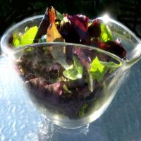 Basic Salad Mix (Salad Spinner)_image