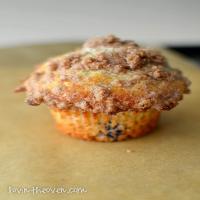 To Die For Blueberry Muffins Recipe - (4.5/5)_image