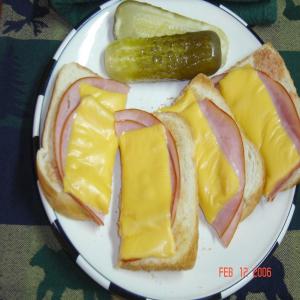 Ham and Turkey Sandwich_image