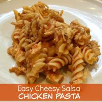 Easy Cheesy Salsa Chicken Pasta Recipe - (4.8/5) image