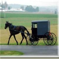 Amish Six Layer Dinner_image