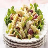 Party Chicken and Pasta Salad_image
