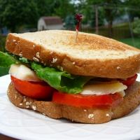 Kansas Tomato Sandwich_image