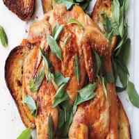 Spatchcocked Chicken on Bread with Herbs and Lemon_image