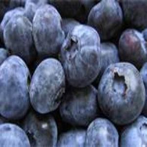 Dehydrating Blueberries image