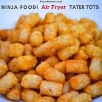 Ninja Foodi Air Fryer Tater Tots_image