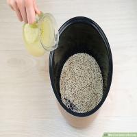 How to Cook Quinoa in a Rice Cooker_image