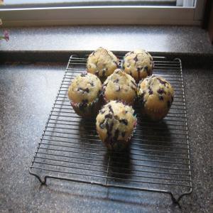 Any Muffins Recipe_image
