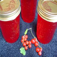 Currant Jelly image