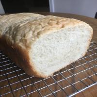 Amish Bread for the Bread Machine_image