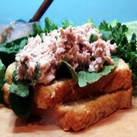 Tuna Salad Sandwich With a Bite!_image