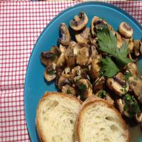 Cooked Mushroom Salad_image
