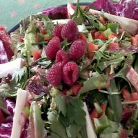 Radicchio Salad with Easy Raspberry Vinaigrette_image