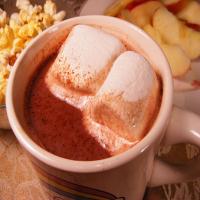 Chocolatey Hot Cocoa for One_image