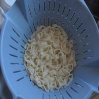 No Knead Homemade Noodles (Food Processor) image