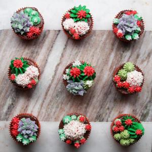 Succulent Cupcakes Recipe by Tasty_image