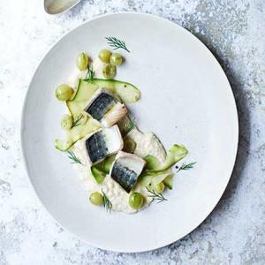 Grilled mackerel with pickled gooseberry ketchup_image