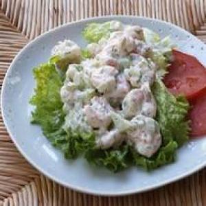Shrimp Salad with a Lemon Jello Side Dish_image