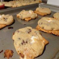 S'mores Campfire Cookies Recipe - (4.4/5)_image