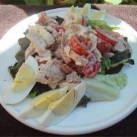 Warm Chicken, Bacon, and Egg Salad with Mayonnaise Dressing image