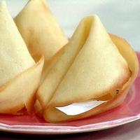 Great Big Fortune Cookies with Pomegranate Granita_image