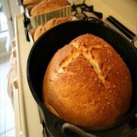 No-Knead Bread or Camp Fire Bread Recipe - (3.6/5)_image