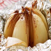 Grilled Onion Blossom image