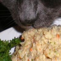 Fee's Special Kitty Cat Renal/Kidney/Diabetes Diet_image