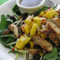 Chicken Mango Salsa Salad with Chipotle Lime Vinaigrette_image