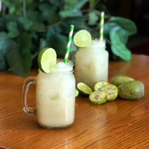 Prickly Pear Limeade image
