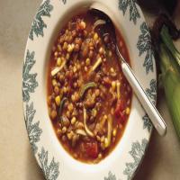 Lentil-Vegetable Soup_image