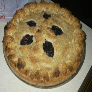 Double Crusted Blueberry Cranberry Pie_image